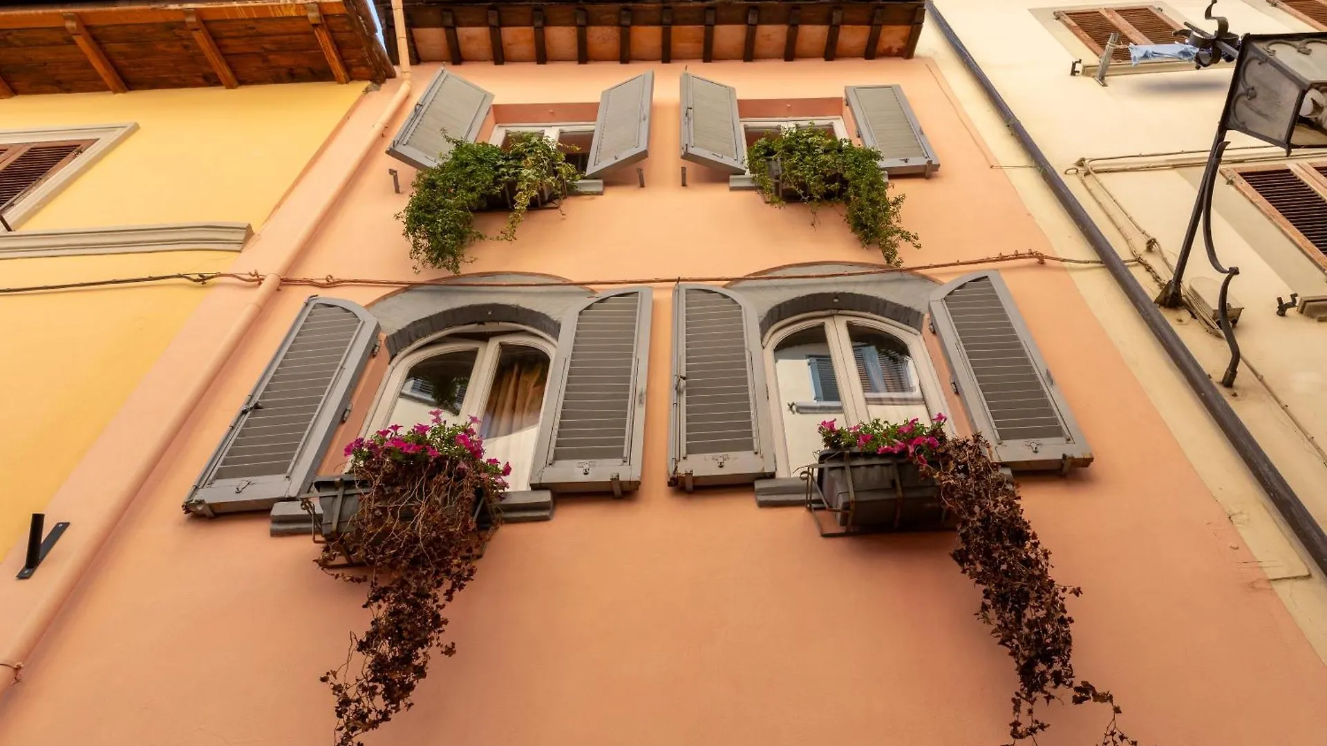 Bibi Boutique Arezzo Living Suite Rosafragola & Verdeconiglio